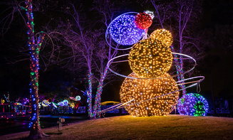 Freeville NY Taxi and car Service holiday lights tour transportation for families and visitors